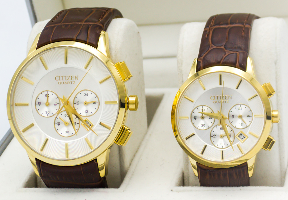 ست سیتیزن بندچرم